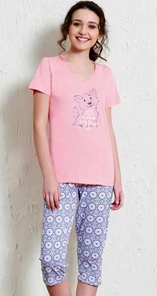 ������ � ��������