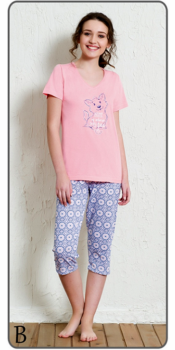  ������ � ��������