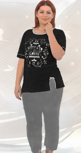 ������ � ��������