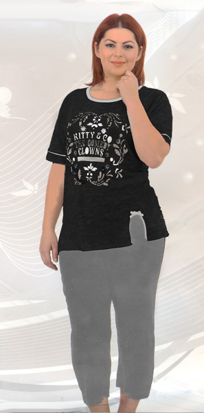 ������ � ��������