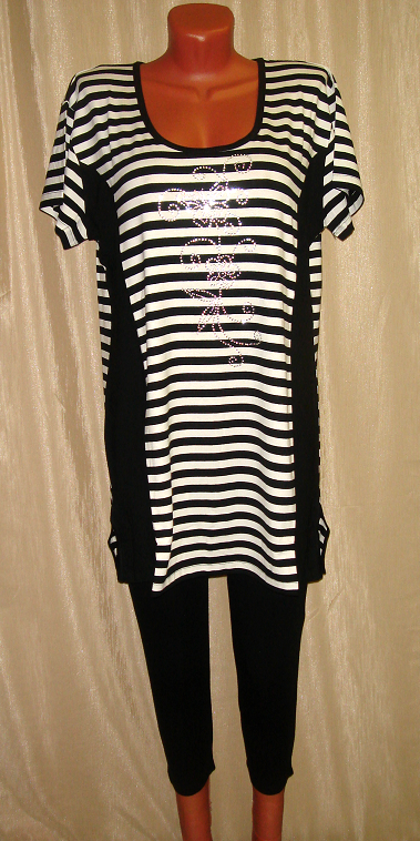 ������ � ��������