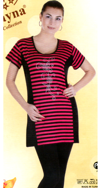 ������ � ��������