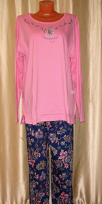 ������ � ��������